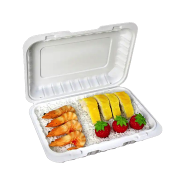 Aybak-96 Hinged PP Take-Out (9 x 6 x 2.5in, Shallow), 150 Count