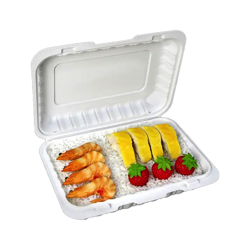 Aybak-96 Hinged PP Take-Out (9 x 6 x 2.5in, Shallow), 150 Count